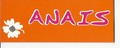 Sacs mode et original de marque Anais vers Nantes